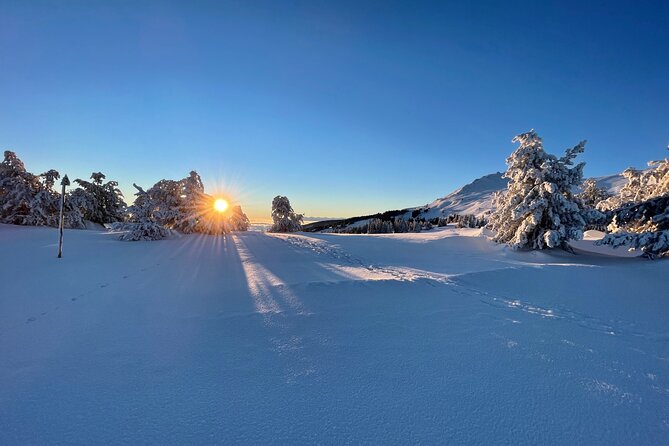 The Best of Sofia: Magical Snowshoeing Adventure in Vitosha & SPA - Overall Experience