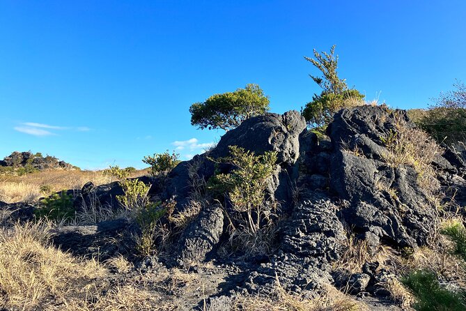 Trekking Volcanic Island in Izu Oshima - Safety Tips