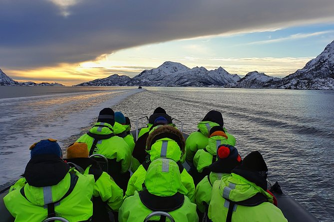 Trollfjord and Sea Eagle Safari Tour From Svolaer - Tour Overview