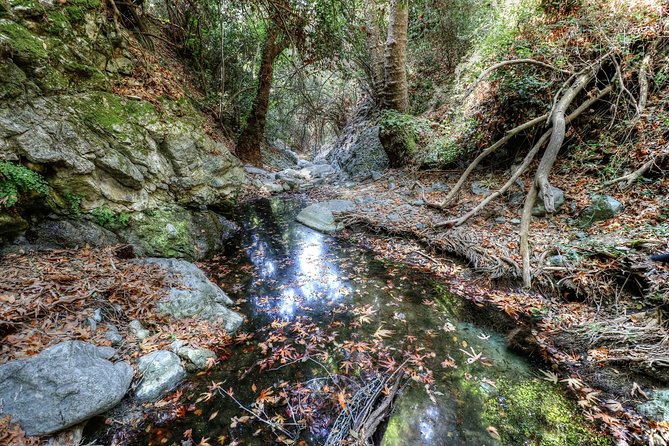 Troodos Jeep Safari From Protaras,Ayia Napa & Larnaca - Itinerary Highlights