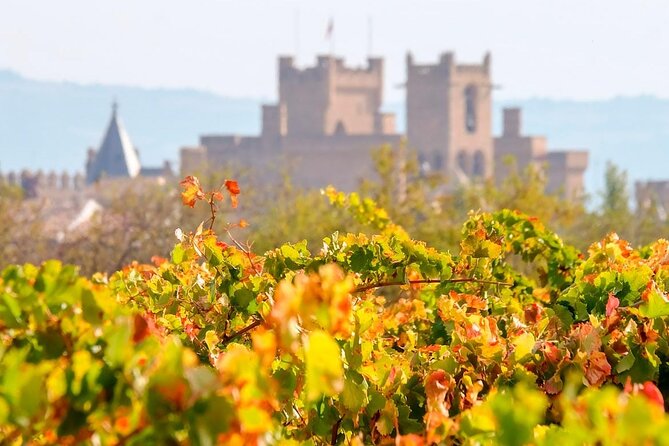 Two Winery Visits With Tastings and a Walking Tour of La Guardia - Frequently Asked Questions