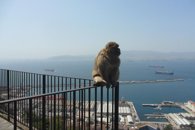 Upper Rock Walking Tour - Reviews and Responses