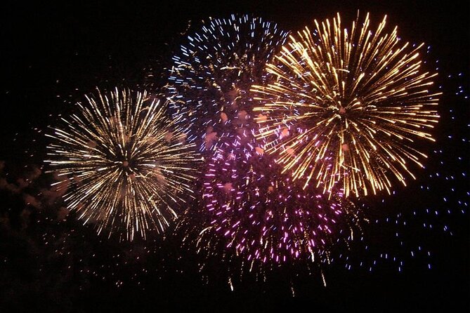 Wave Dancer Deluxe Night Cruise With Fireworks - Adults Only - Important Information