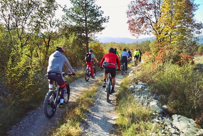 Wine Cycling Tour by E-Bike - The Sum Up