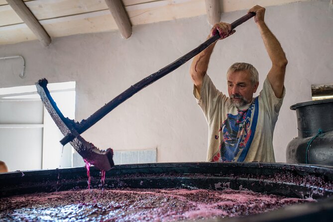 Winery Tour and Tasting in Zakynthos With the Winemaker - Operator Information