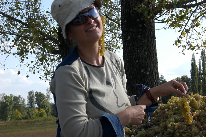 2-Day Private Wine Tour to Kakheti From Tbilisi - Inclusions