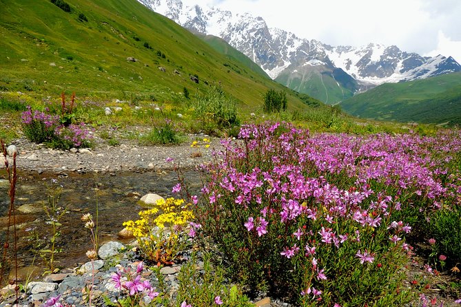 6-Day Tour to Georgia From Tbilisi. Cultural Heritage - Itinerary Highlights