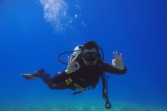 BRELA Bikini Dive *Try SCUBA DIVING* - Frequently Asked Questions