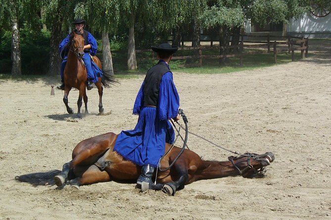Budapest Puszta Day Trip to Kecskemet Icluding Horse Show & Lunch - The Sum Up