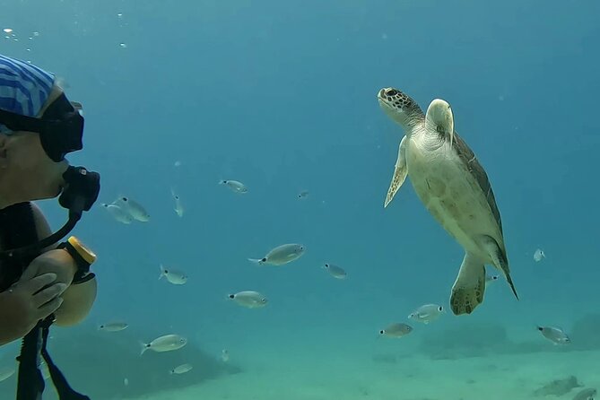 Discover SCUBA Diving With Pissouri Bay Divers - Ready to Dive? Book Now!