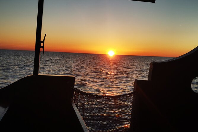 Dolphin Watching Boat Trip Around Vrsar - What To Expect