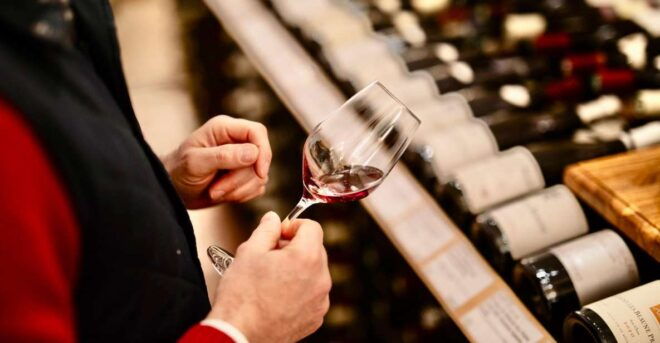 🍷 Masterclass Pinot Noir - Wine Tasting in Dijon 🇫🇷 - Expert Guidance