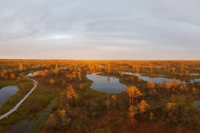 From Riga: Best of Kemeri National Park In One Day - The Sum Up