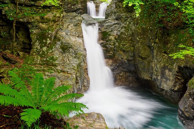[From Takayama or Gero]Half Day Trip in Hida-Osaka Waterfall - Important Notes and Cancellation Policy