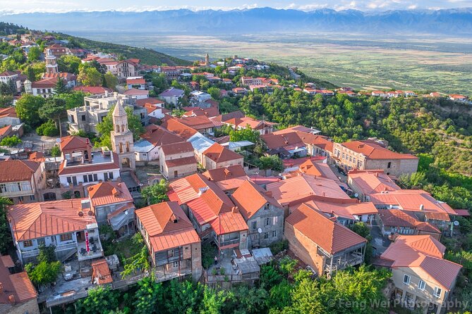 Full-Day Guided Tour to Kakheti - Group - Additional Info