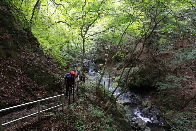 Full Day Kofu Adventure Tour - Participant Requirements
