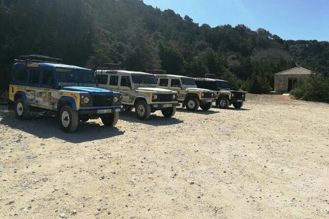 Full-Day Surf and Turf Safari Tour in Paphos - Background