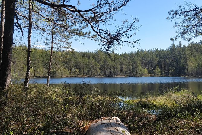 Go North – Private 1 Day Trip to Estonian Nature - Tour Highlights