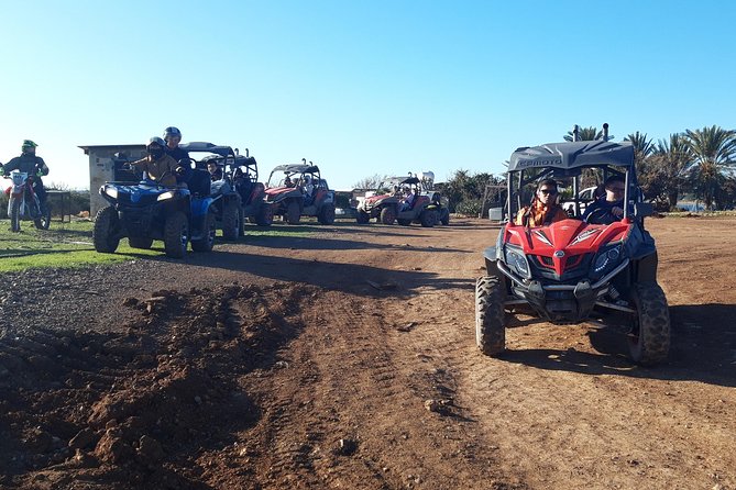Half-Day Buggy Safari to Akamas Peninsula With Lunch - Cancellation Policy