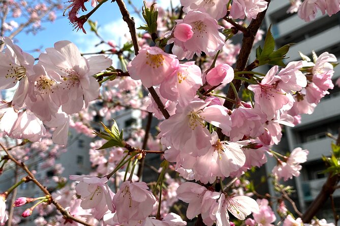 Hidden Gem Food & Whiskey Night Tour Near Roppongi - Itinerary Overview