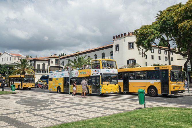 Hop-on Hop-off Bus Tour and Catamaran Whale & Dolphin Watching - The Sum Up