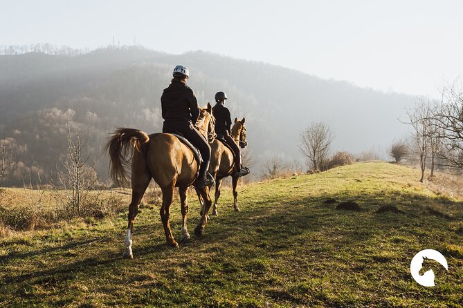 Horseback Riding for Experts Between the Lake and the Mountains - Equipment and Amenities Provided