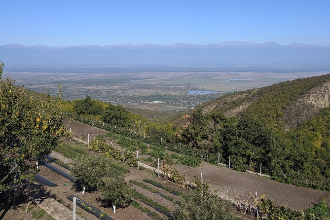 Kakheti Wine Tour · Full Day Private Tour · Trending Georgia - Frequently Asked Questions
