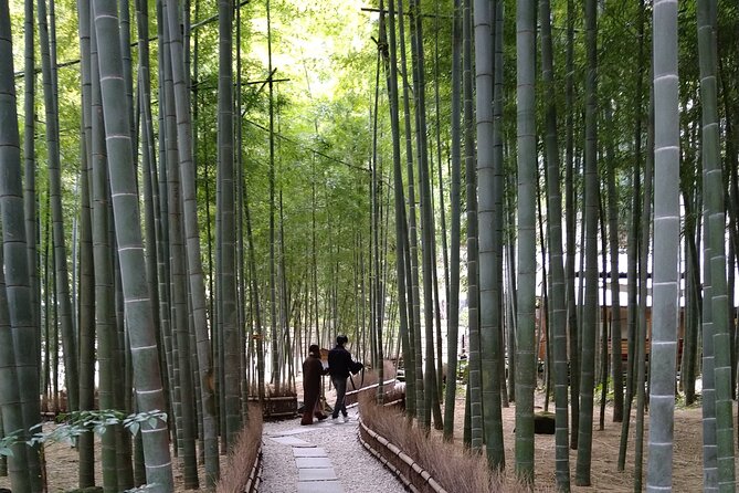 Kamakura One Day Walking Private Tour - Getting There