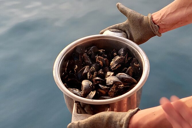 Kayaking and Mussels Tasting at Krka River Estuary-Private Tours - Additional Information