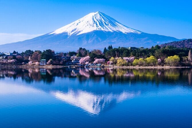 Mt. Fuji Private Tour From Tokyo With English Guide - Accessibility Information