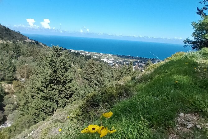 Nature Walking Tour in the Mediterranean Cyprus-8days - Itinerary Overview