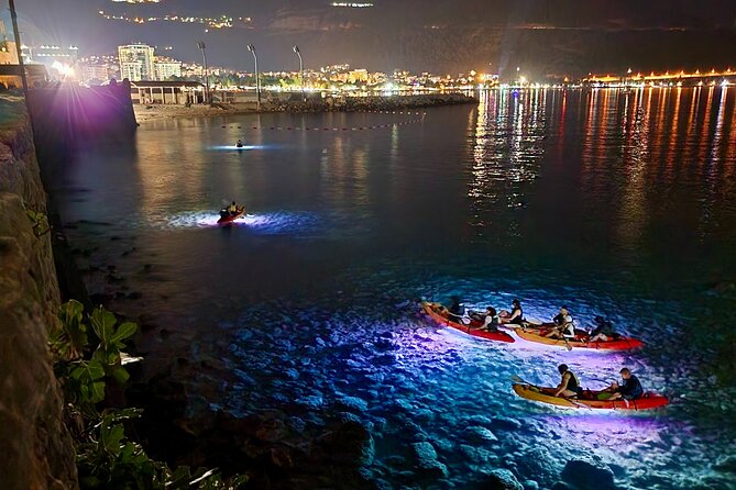 Night Lights Kayak Adventure - Frequently Asked Questions