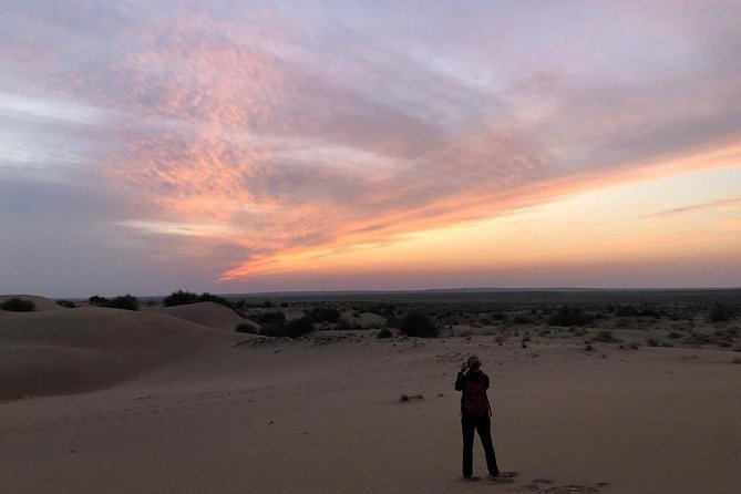 Non Touristic Half Day Camel Safari Thar Desert Sunset - Remote Oasis Visit