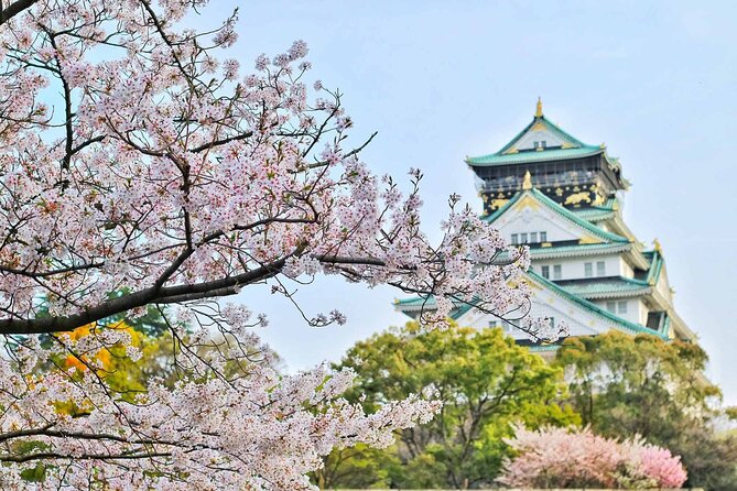 Osaka 6hr Instagram Highlights Private Tour With Licensed Guide - Tour Overview
