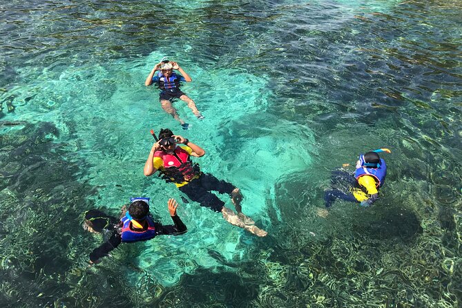 Poreč Panorama and Snorkeling Tour - The Sum Up