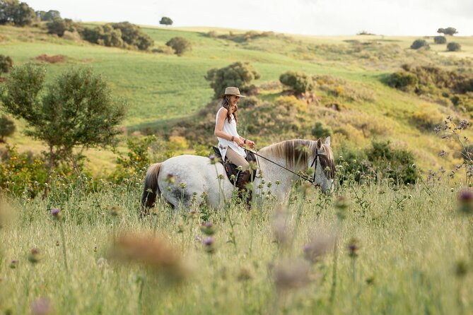 Private 1.5-hour Horse Riding Adventure in Tbilisi - Inclusions