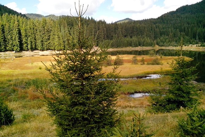 Private Buggy Experience All Seasons in Pamporovo - Frequently Asked Questions