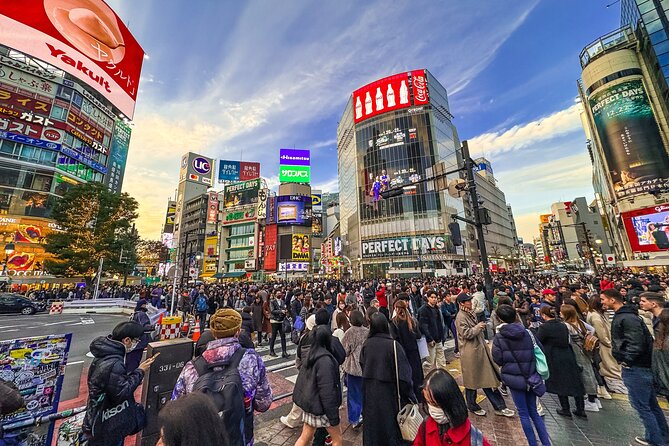 Private Tokyo Tour by Subway W/Licensed English-Speaking Guide - Licensed English-Speaking Guide