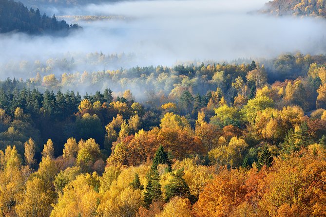 Road Trip to Cēsis, Līgatne, Āraiši, and Sigulda - All Inclusive - Directions and Itinerary
