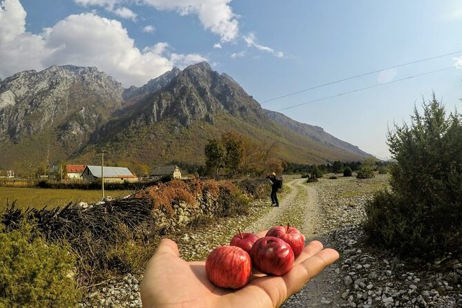 Self-Guided Hiking Tour: Theth, Valbona & Koman Lake in 5 Days - Assistance and Additional Info