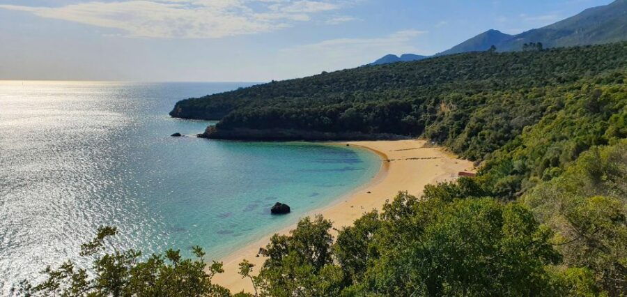 Sesimbra and Arrábida Natural Park: 1 Day Tour & Wine Tasting - Good To Know