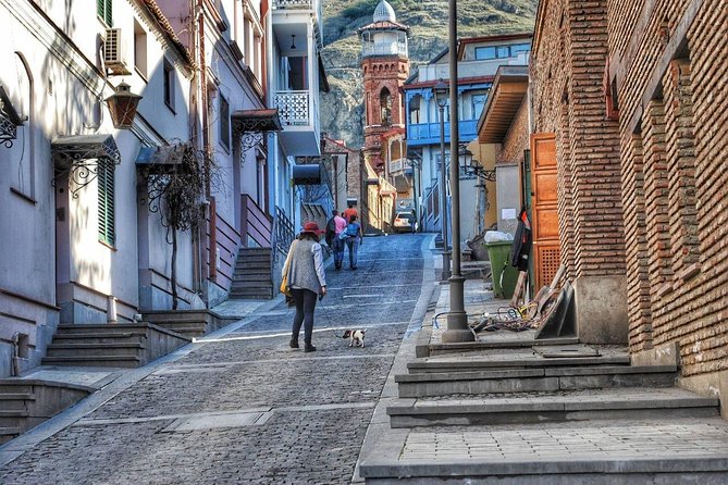 Tbilisi Private Arrival Airport Transfer - Additional Info