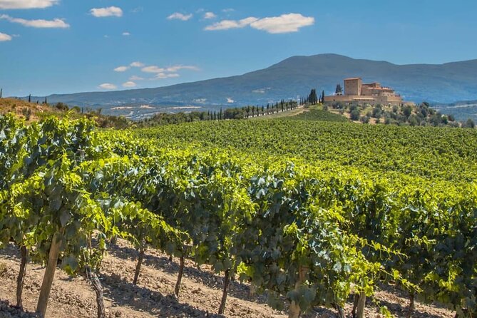 Two Winery Visits With Tastings and a Walking Tour of La Guardia - The Sum Up