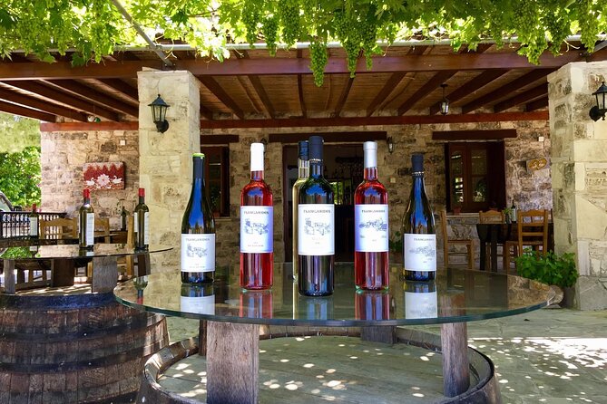 Wine Tasting and Winery Tour in Lemona Village, Paphos - Winery Overview