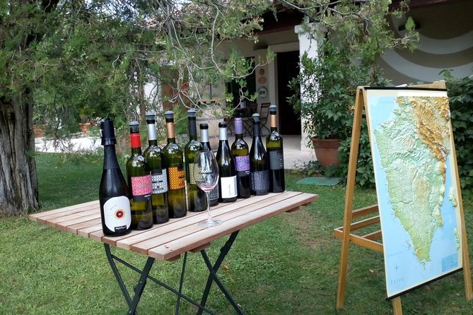 A Sample Of Wine, A Sample Of Istria - A Short But Fulfilled Program - Good To Know