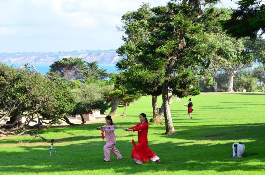 A Seaside Stroll: La Jollas Hidden Treasures Walking Tour - Good To Know
