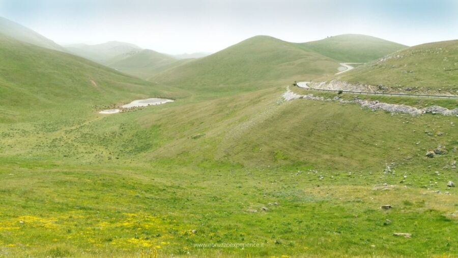 Abruzzo of Ladyhawke From Rome (Summer Version)