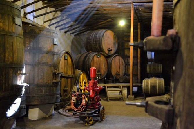 Aconcagua Private Wine Lovers Premium Tour