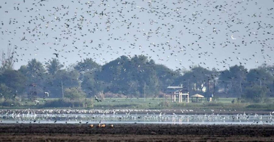 Agra Full Day Tour With Patna Bird Century Overnight - Good To Know