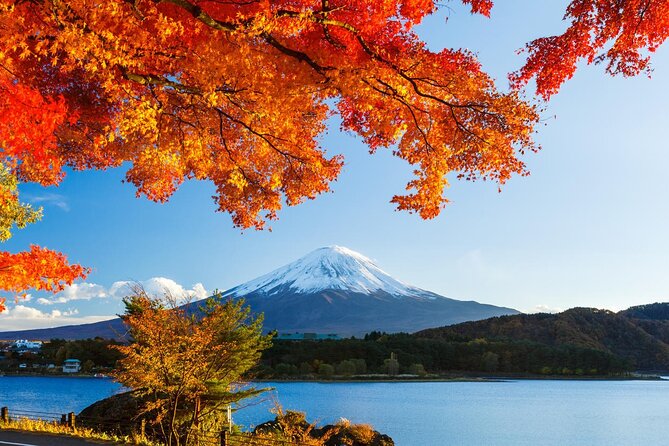 Best Private Driver Services In Fujinomiya